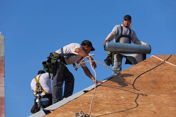 Best Roof Gutter Cleaning  in Orwell, OH