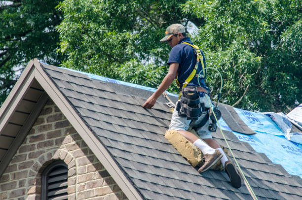 Best Metal Roofing Contractor  in Orwell, OH